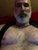 Dan Bear