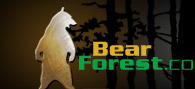 Sign In - BearForest